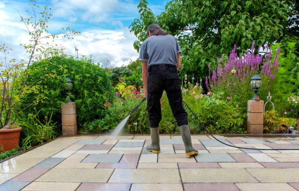 Best Sidewalk and Walkway Cleaning  in Ronan, MT